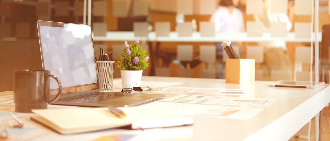 A laptop, plant, coffee mugs and notebooks on the on the desk at Otter Compliane.